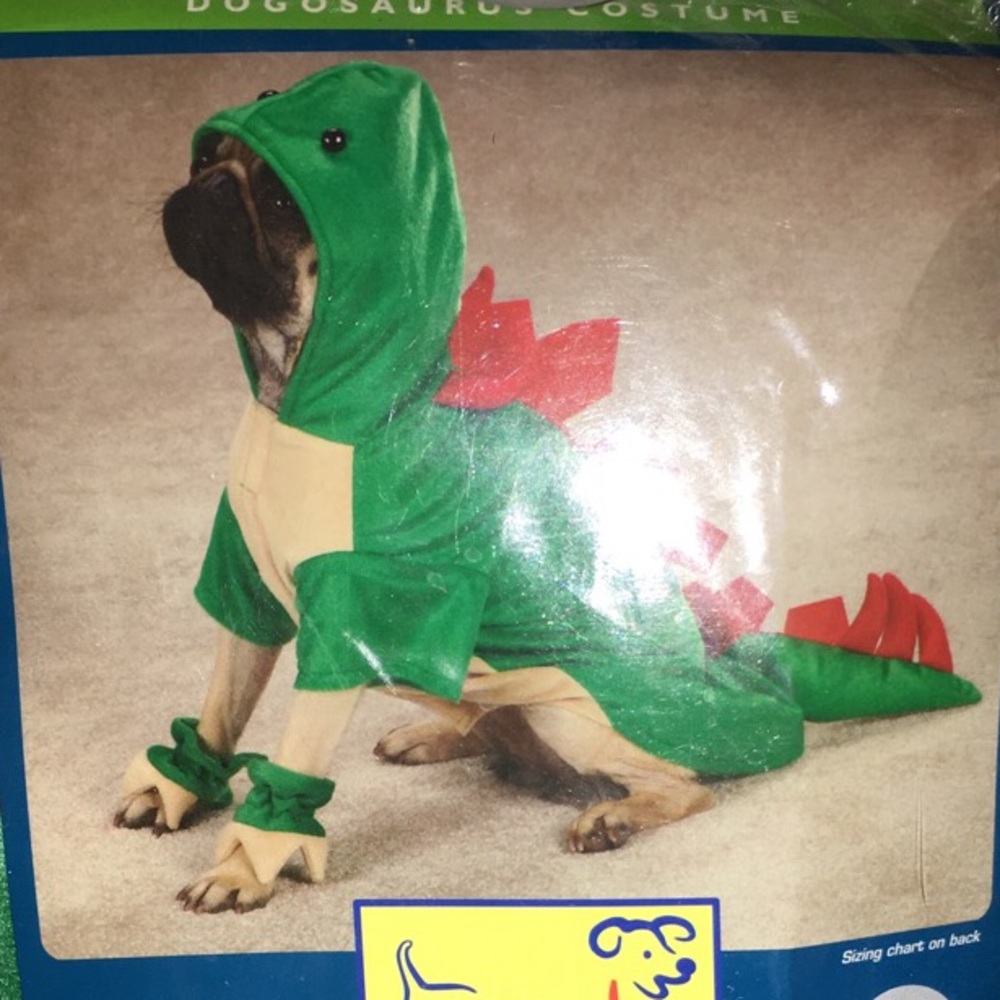 ADORABLE CASUAL CANINES DOGOSAURUS COSTUME!